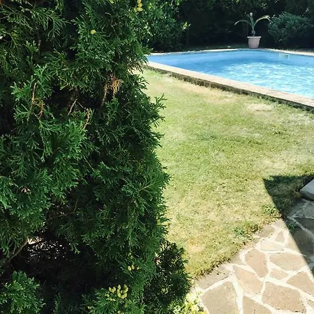 Nymphea Water Lily 3* Hisarya