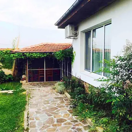 Nymphea Water Lily Gasthuis