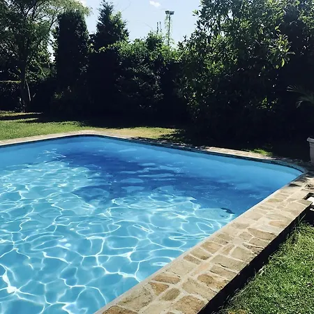 Nymphea Water Lily Gasthuis Hisarya