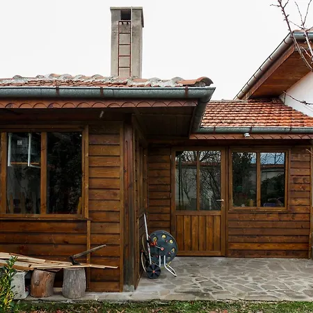 Nymphea Water Lily 3* Hisarya