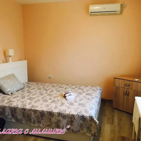 Gasthuis Nymphea Water Lily Hisarya