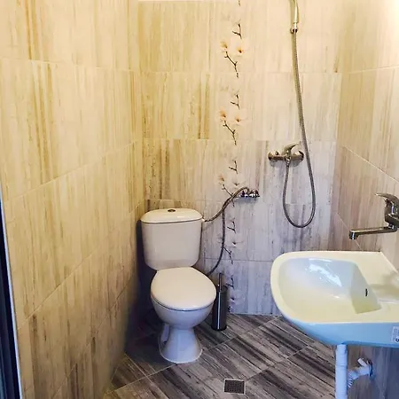 Nymphea Water Lily 3* Hisarya